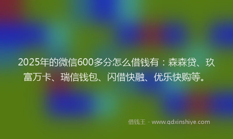2025年的微信600多分怎么借钱有：森森贷、玖富万卡、瑞信钱包、闪借快融、优乐快购等。