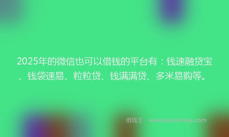 2025年的微信也可以借钱的平台有：钱速融贷宝、钱袋速易、粒粒贷、钱满满贷、多米易购等。
