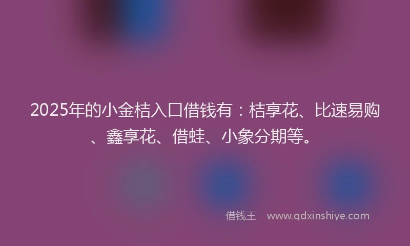 2025年的小金桔入口借钱有：桔享花、比速易购、鑫享花、借蛙、小象分期等。