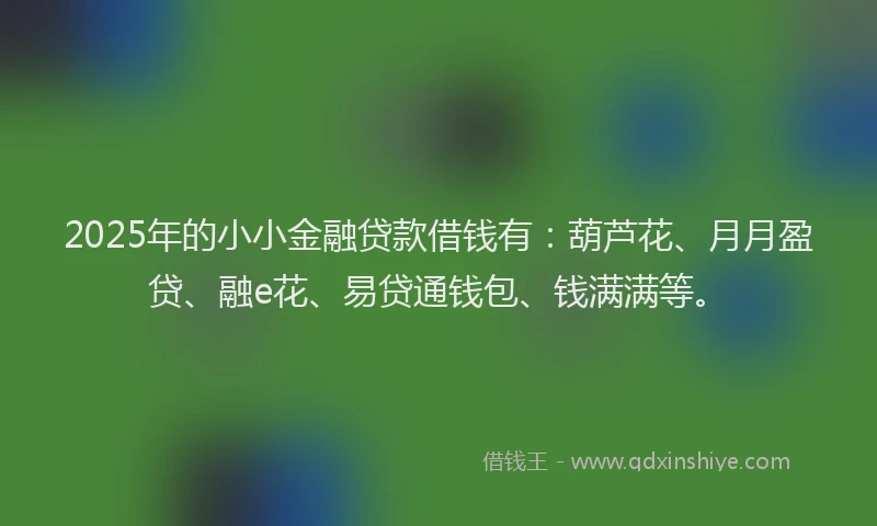 2025年的小小金融贷款借钱有：葫芦花、月月盈贷、融e花、易贷通钱包、钱满满等。