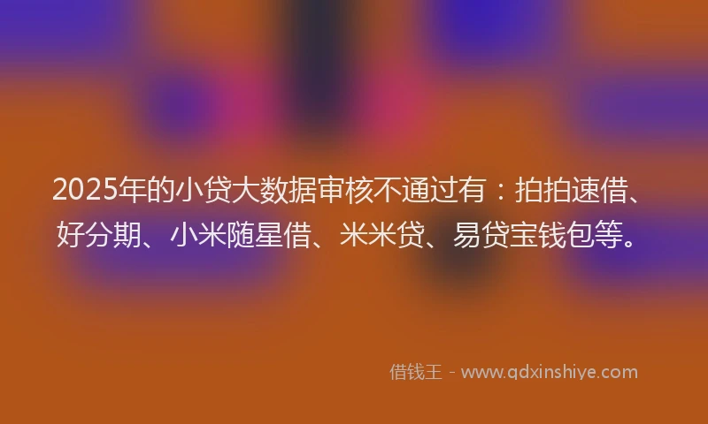 2025年的小贷大数据审核不通过有：拍拍速借、好分期、小米随星借、米米贷、易贷宝钱包等。