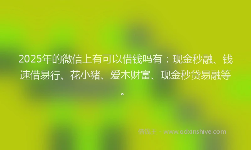 2025年的微信上有可以借钱吗有：现金秒融、钱速借易行、花小猪、爱木财富、现金秒贷易融等。