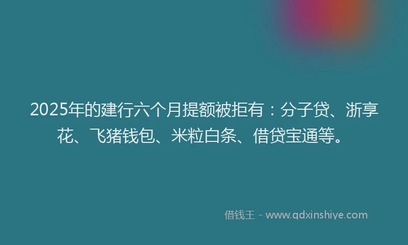 2025年的建行六个月提额被拒有：分子贷、浙享花、飞猪钱包、米粒白条、借贷宝通等。
