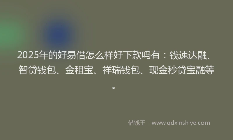 2025年的好易借怎么样好下款吗有：钱速达融、智贷钱包、金租宝、祥瑞钱包、现金秒贷宝融等。