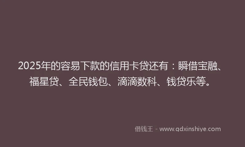 2025年的容易下款的信用卡贷还有：瞬借宝融、福星贷、全民钱包、滴滴数科、钱贷乐等。