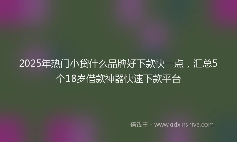 2025年热门小贷什么品牌好下款快一点，汇总5个18岁借款神器快速下款平台