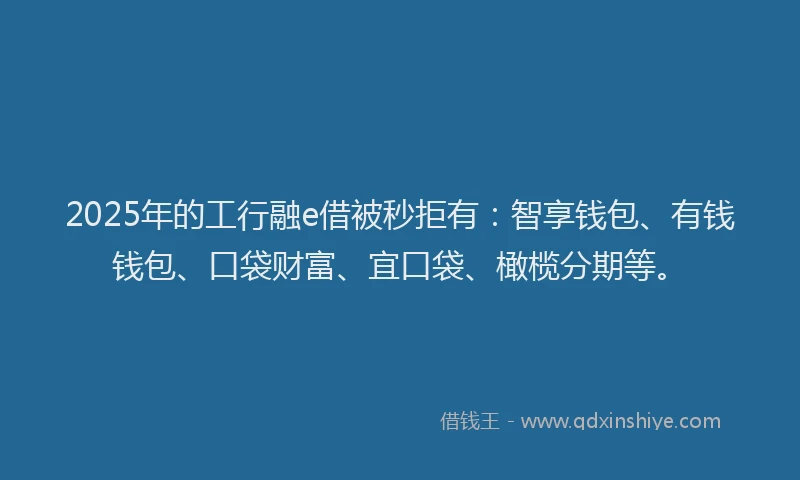 2025年的工行融e借被秒拒有：智享钱包、有钱钱包、口袋财富、宜口袋、橄榄分期等。