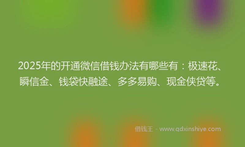 2025年的开通微信借钱办法有哪些有：极速花、瞬信金、钱袋快融途、多多易购、现金侠贷等。