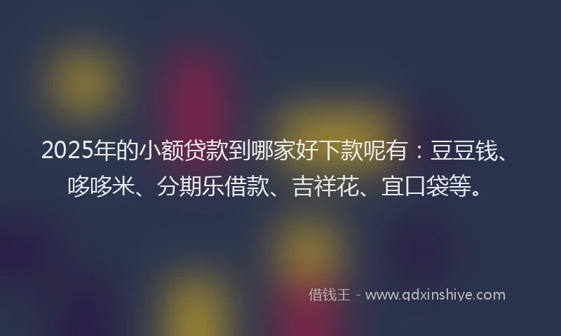 2025年的小额贷款到哪家好下款呢有：豆豆钱、哆哆米、分期乐借款、吉祥花、宜口袋等。