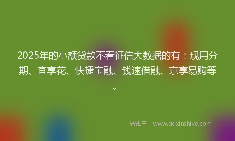 2025年的小额贷款不看征信大数据的有：现用分期、宜享花、快捷宝融、钱速借融、京享易购等。