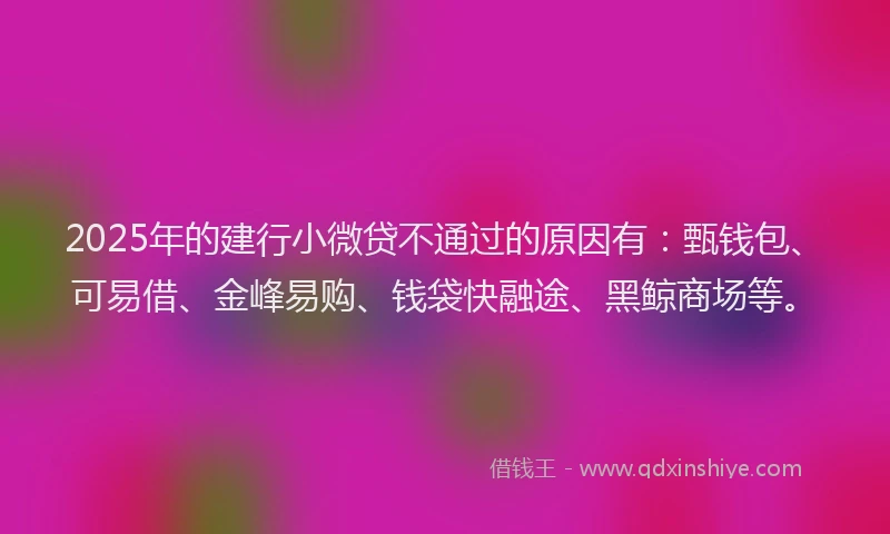 2025年的建行小微贷不通过的原因有：甄钱包、可易借、金峰易购、钱袋快融途、黑鲸商场等。