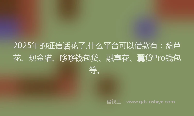 2025年的征信话花了,什么平台可以借款有：葫芦花、现金猫、哆哆钱包贷、融享花、翼贷Pro钱包等。