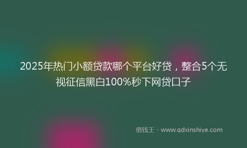 2025年热门小额贷款哪个平台好贷，整合5个无视征信黑白100%秒下网贷口子