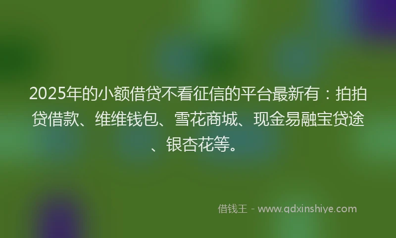 2025年的小额借贷不看征信的平台最新有：拍拍贷借款、维维钱包、雪花商城、现金易融宝贷途、银杏花等。