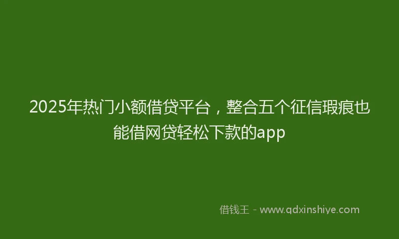 2025年热门小额借贷平台，整合五个征信瑕疵也能借网贷轻松下款的app