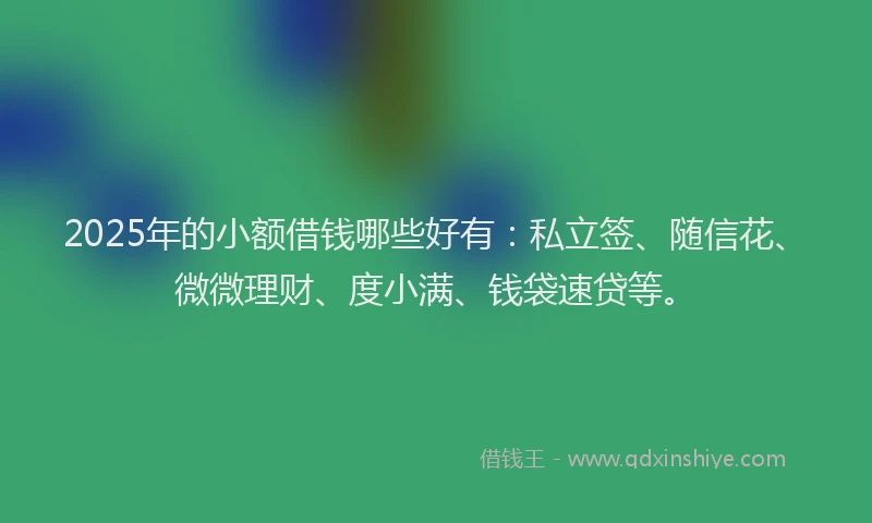 2025年的小额借钱哪些好有：私立签、随信花、微微理财、度小满、钱袋速贷等。