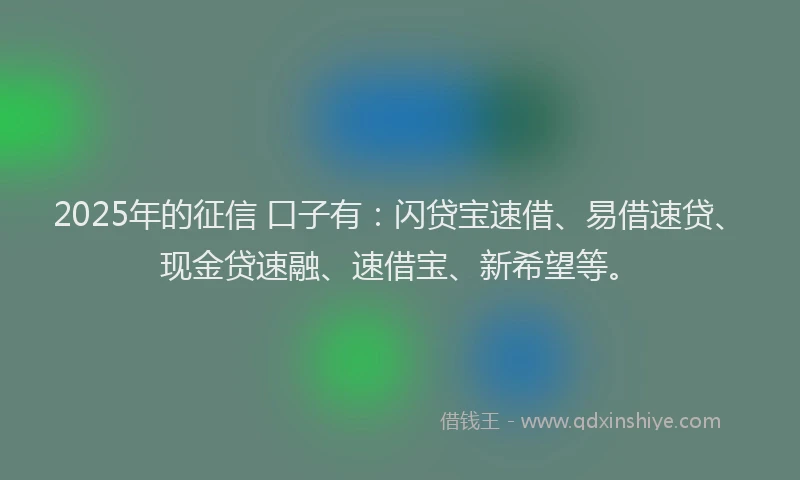 2025年的征信 口子有：闪贷宝速借、易借速贷、现金贷速融、速借宝、新希望等。