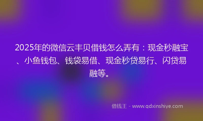 2025年的微信云丰贝借钱怎么弄有：现金秒融宝、小鱼钱包、钱袋易借、现金秒贷易行、闪贷易融等。