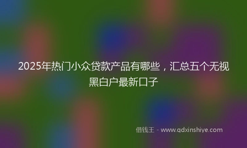 2025年热门小众贷款产品有哪些，汇总五个无视黑白户最新口子