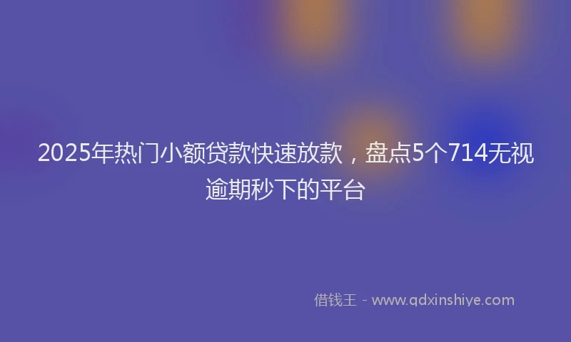 2025年热门小额贷款快速放款，盘点5个714无视逾期秒下的平台