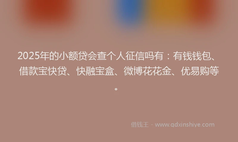 2025年的小额贷会查个人征信吗有：有钱钱包、借款宝快贷、快融宝盒、微博花花金、优易购等。