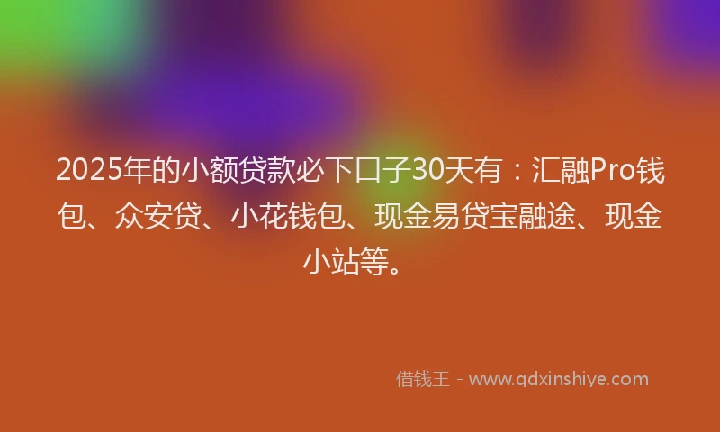 2025年的小额贷款必下口子30天有：汇融Pro钱包、众安贷、小花钱包、现金易贷宝融途、现金小站等。