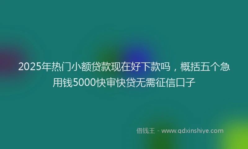 2025年热门小额贷款现在好下款吗，概括五个急用钱5000快审快贷无需征信口子