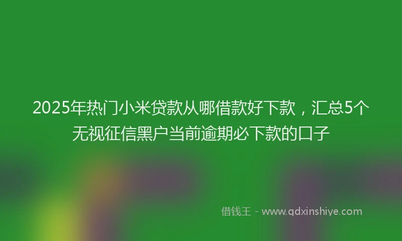 2025年热门小米贷款从哪借款好下款，汇总5个无视征信黑户当前逾期必下款的口子