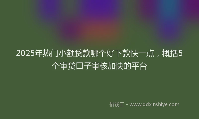 2025年热门小额贷款哪个好下款快一点，概括5个审贷口子审核加快的平台