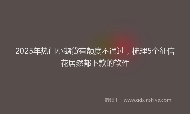2025年热门小鹅贷有额度不通过，梳理5个征信花居然都下款的软件