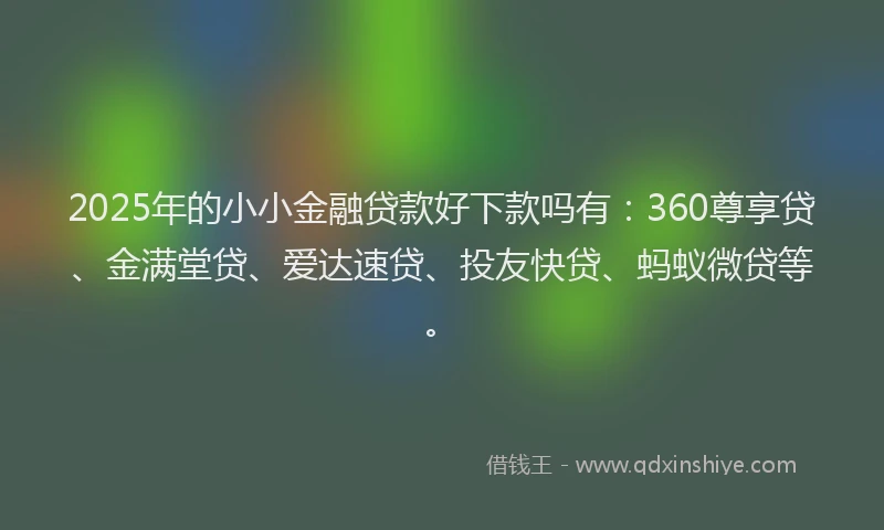 2025年的小小金融贷款好下款吗有：360尊享贷、金满堂贷、爱达速贷、投友快贷、蚂蚁微贷等。