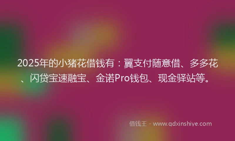 2025年的小猪花借钱有：翼支付随意借、多多花、闪贷宝速融宝、金诺Pro钱包、现金驿站等。