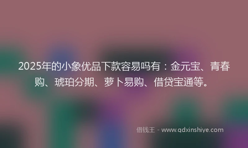 2025年的小象优品下款容易吗有：金元宝、青春购、琥珀分期、萝卜易购、借贷宝通等。
