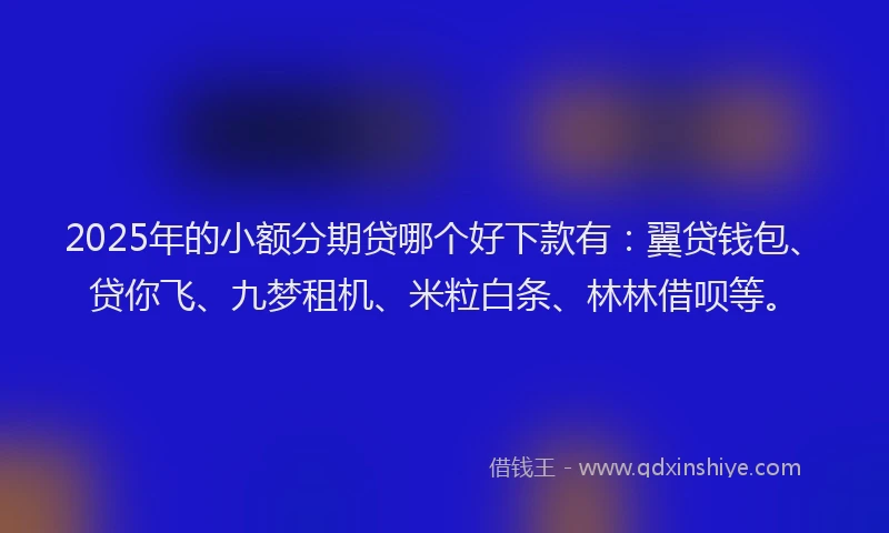 2025年的小额分期贷哪个好下款有：翼贷钱包、贷你飞、九梦租机、米粒白条、林林借呗等。