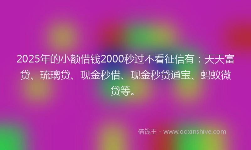 2025年的小额借钱2000秒过不看征信有：天天富贷、琉璃贷、现金秒借、现金秒贷通宝、蚂蚁微贷等。