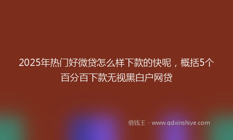 2025年热门好微贷怎么样下款的快呢，概括5个百分百下款无视黑白户网贷