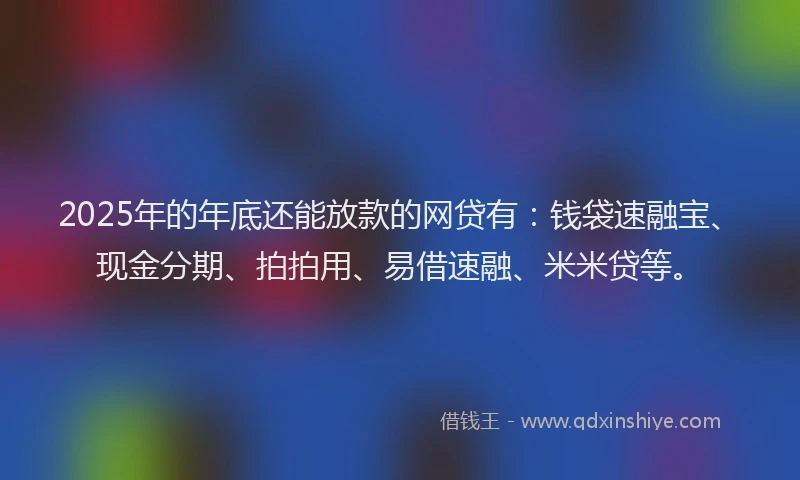 2025年的年底还能放款的网贷有：钱袋速融宝、现金分期、拍拍用、易借速融、米米贷等。