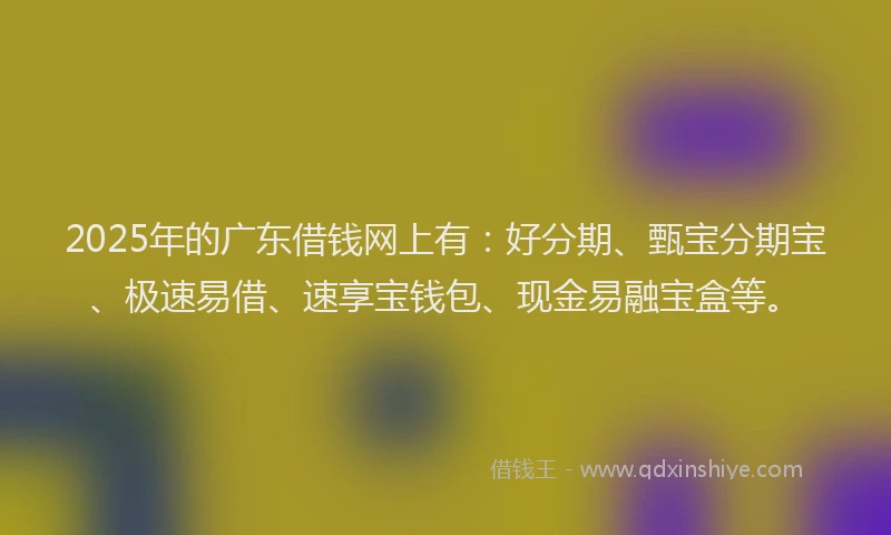 2025年的广东借钱网上有：好分期、甄宝分期宝、极速易借、速享宝钱包、现金易融宝盒等。