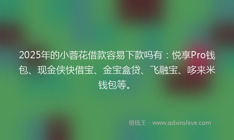 2025年的小蓉花借款容易下款吗有：悦享Pro钱包、现金侠快借宝、金宝盒贷、飞融宝、哆来米钱包等。