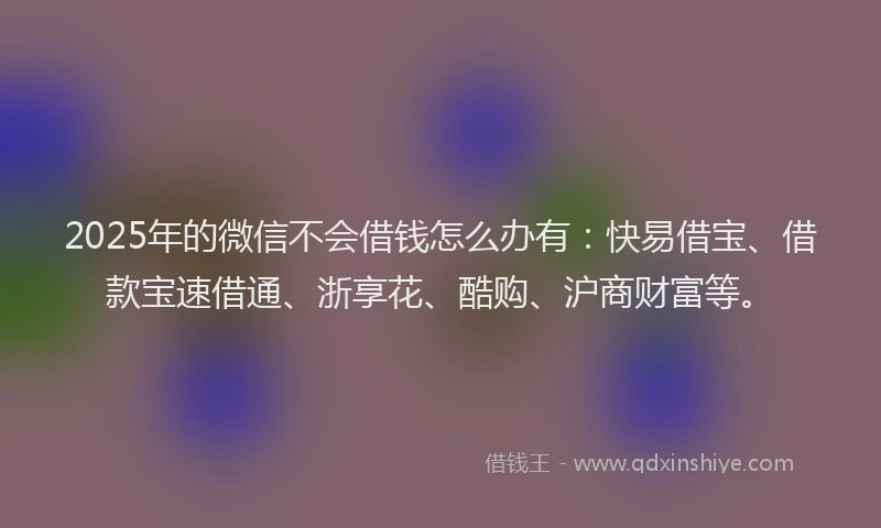 2025年的微信不会借钱怎么办有：快易借宝、借款宝速借通、浙享花、酷购、沪商财富等。
