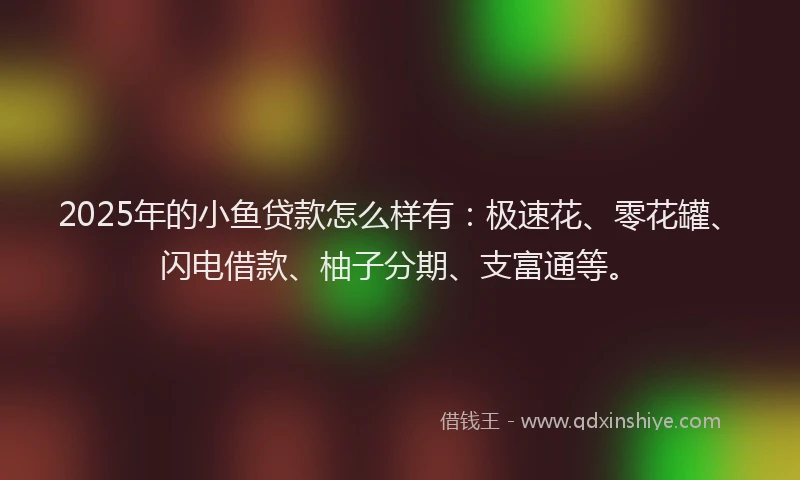 2025年的小鱼贷款怎么样有：极速花、零花罐、闪电借款、柚子分期、支富通等。