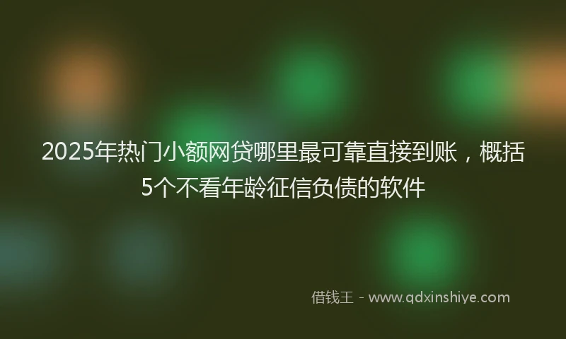 2025年热门小额网贷哪里最可靠直接到账，概括5个不看年龄征信负债的软件