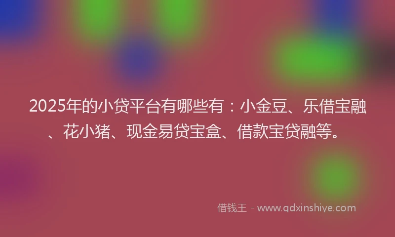 2025年的小贷平台有哪些有：小金豆、乐借宝融、花小猪、现金易贷宝盒、借款宝贷融等。