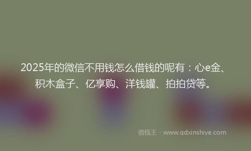 2025年的微信不用钱怎么借钱的呢有：心e金、积木盒子、亿享购、洋钱罐、拍拍贷等。
