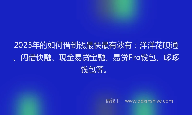 2025年的如何借到钱最快最有效有：洋洋花呗通、闪借快融、现金易贷宝融、易贷Pro钱包、哆哆钱包等。