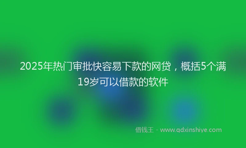 2025年热门审批快容易下款的网贷，概括5个满19岁可以借款的软件