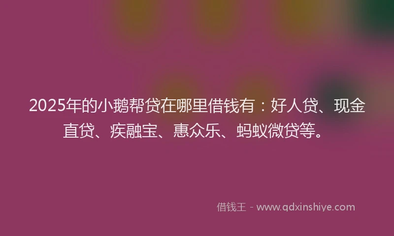 2025年的小鹅帮贷在哪里借钱有：好人贷、现金直贷、疾融宝、惠众乐、蚂蚁微贷等。