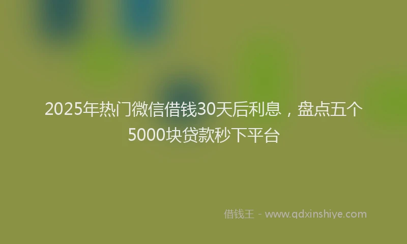 2025年热门微信借钱30天后利息，盘点五个5000块贷款秒下平台