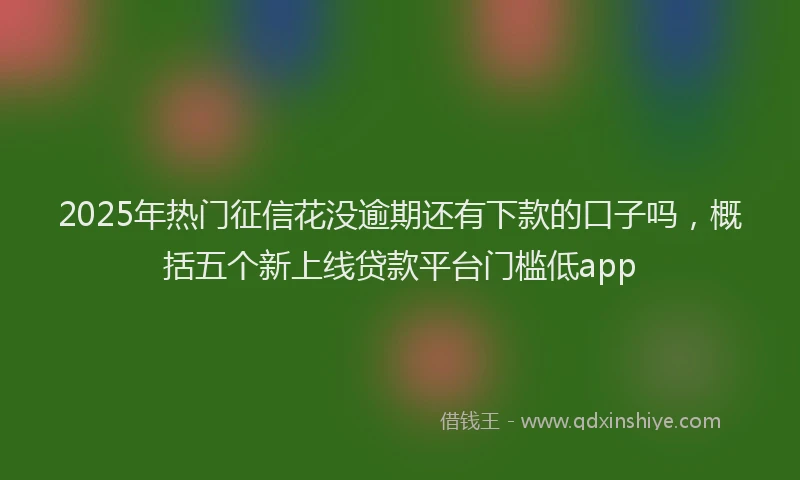 2025年热门征信花没逾期还有下款的口子吗，概括五个新上线贷款平台门槛低app