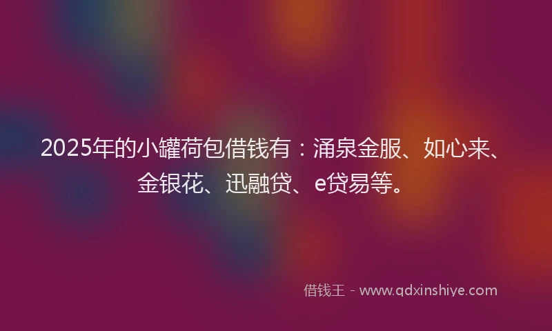 2025年的小罐荷包借钱有：涌泉金服、如心来、金银花、迅融贷、e贷易等。